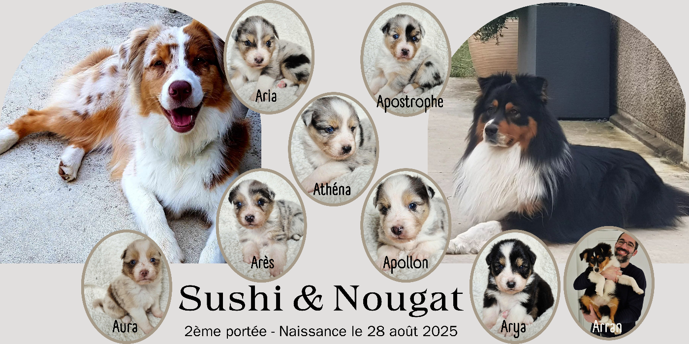 Portée 28/08/2025 : Sushi - Nougat